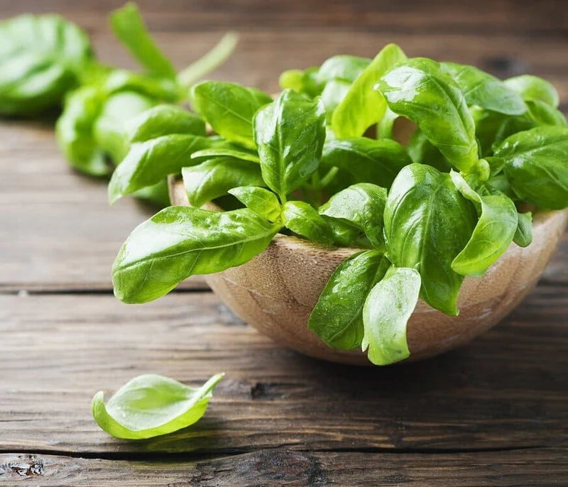 BioOrto - Organic Basil Pesto